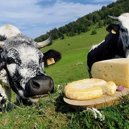 Διαμέρισμα Chez Michele Et Philippe *